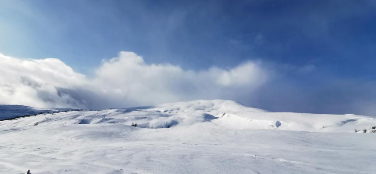 Mlodge - The Mountain Lodge Sogndal Ngoại thất bức ảnh